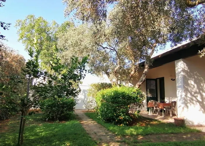 In Mit Terrasse- Gemeinschaftlichem Pool Und Grill By Interhome Lejlighed