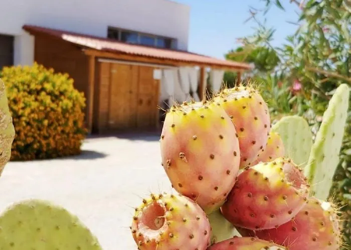 Lejlighed In Mit Terrasse- Gemeinschaftlichem Pool Und Grill By Interhome